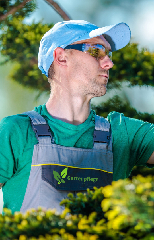 Gartenpflege team - Gartenpflege in Cham