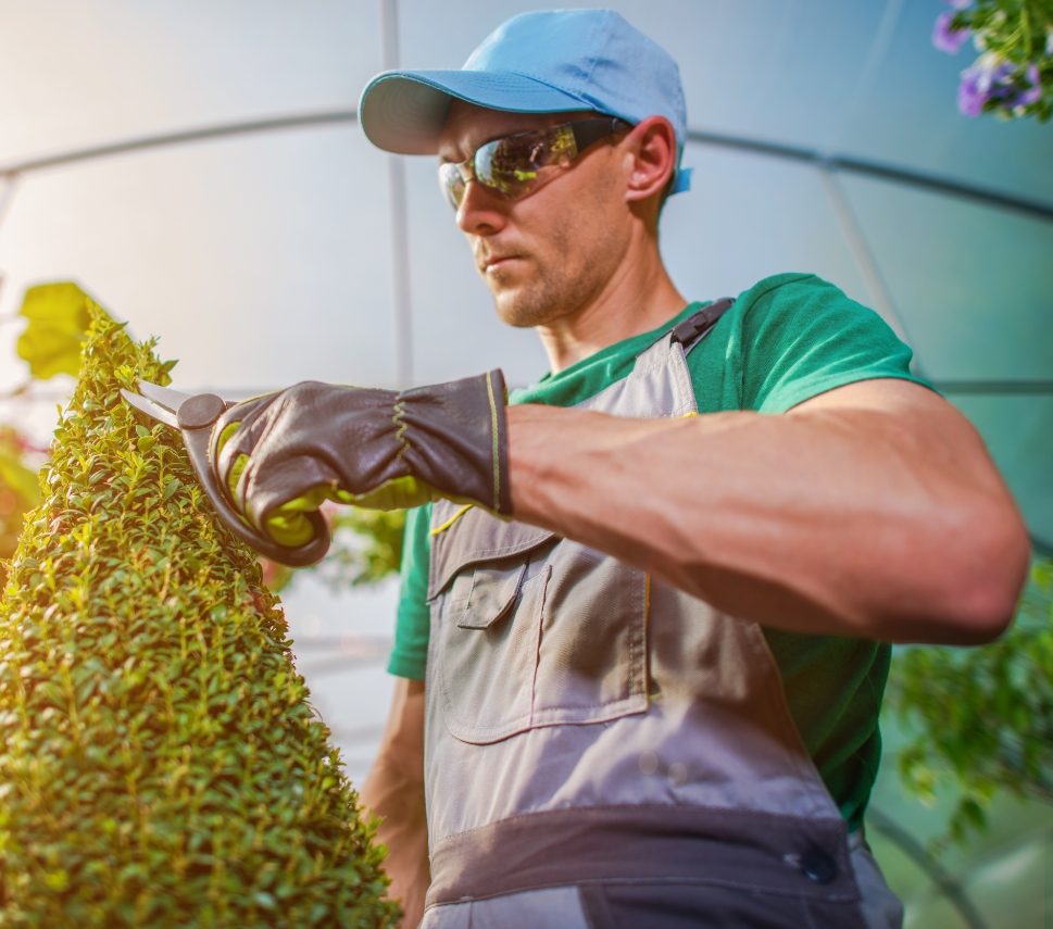 Gartenpflege Firma - Team